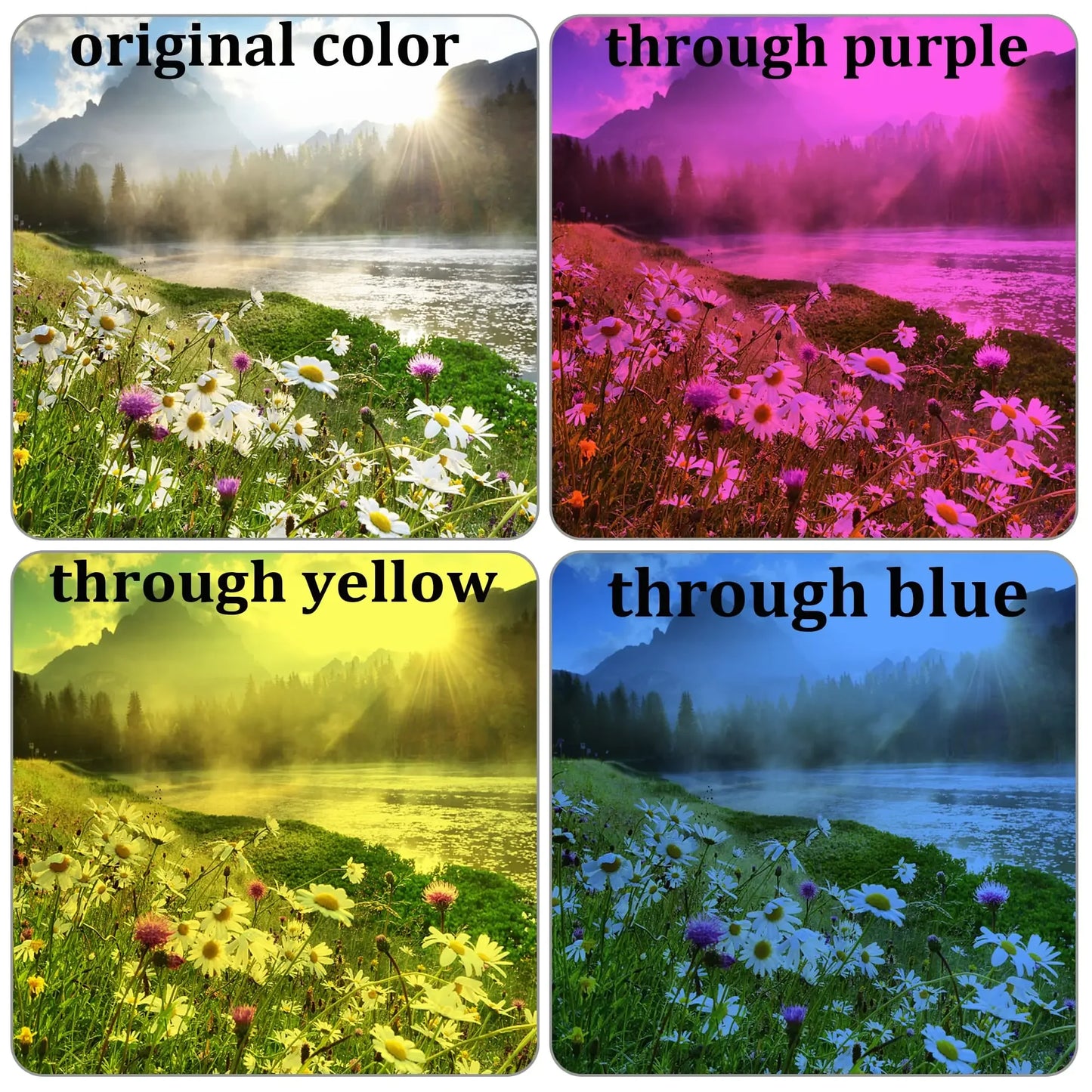 CMY Color Magic Cube Prism